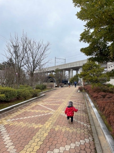 １歳児とことこ散歩
